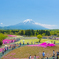 富士芝桜まつり2