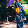 日本の夏