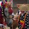 チャグチャグ馬コ