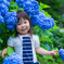 紫陽花のドレス
