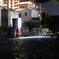 夜の散歩道