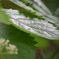 IMG_20170613_232829_966