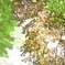 IMG_20170613_233147_731