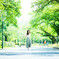 「green road 緑の道」～135mmバージョン～