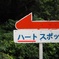 ハートスポット
