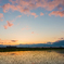 弘南線の夕暮れ