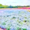 IMG_20170515_172749_505