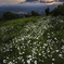 chikai hills