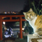 ご当地猫
