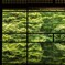 新緑の瑠璃光院