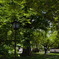 岩国 公園