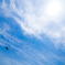 空へ。