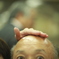 悪意