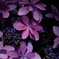 紫陽花