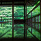 瑠璃光院