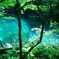 脇壺の池