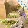 ねこ