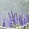 花とスプリンクラー