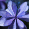 Drops on the crystal