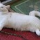 DSC05583あ～あ～