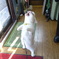 DSC04063