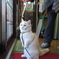 DSC05000おお～い・・俺だ～