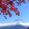 富士紅葉
