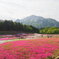 花のパッチワーク