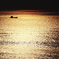 SEA OF GOLD