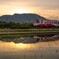 夕暮れの樽見鉄道