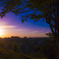 夕日