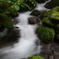 苔沢清流