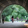 Brooklyn 