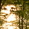 ダムと夕陽