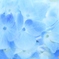 Early summer blue