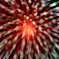 スイカ大爆発