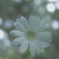 写真 2017-06-13 12 23 13