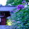 山門