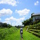 夏の空