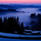 DSCF2339