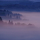DSCF2411