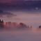 DSCF2429