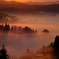 DSCF2454