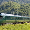 草深い谷を行く瑞風