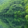 緑の饗宴