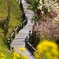 春風の通り道