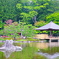 庭園　