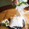 結婚式の一コマ
