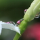 雨の贈り物