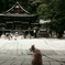 日牟禮八幡宮